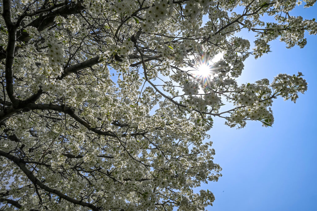 Springing into April: Wisconsin Weather Outlook | Wisconsin State ...