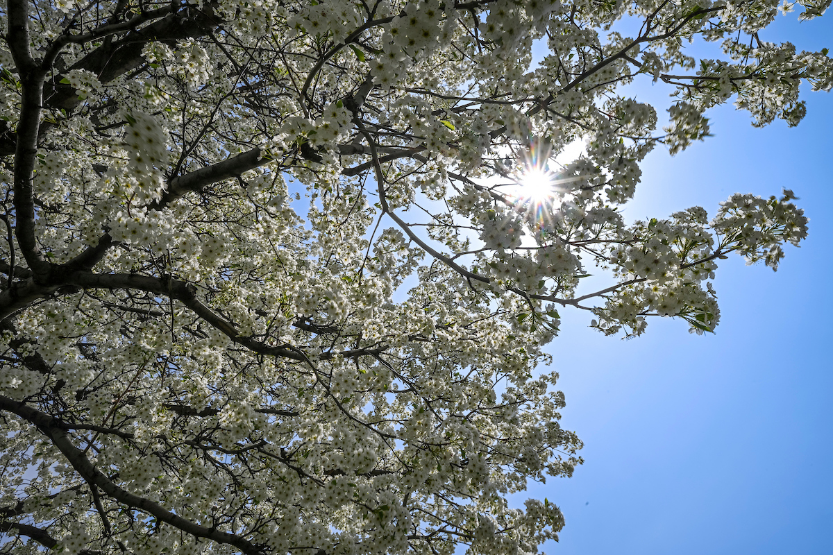 April Spring Wisconsin Springing into April: Wisconsin Weather Outlook | Wisconsin State ...