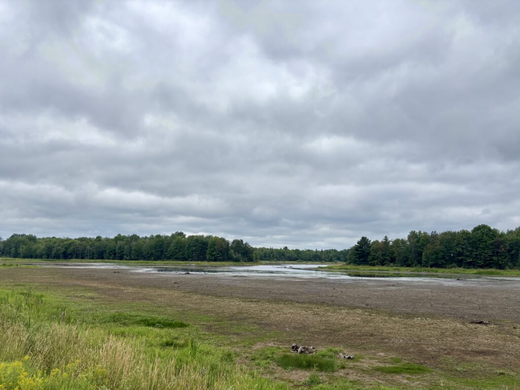 Low water levels in the Gile Flowage in Iron County, WI, August 2026