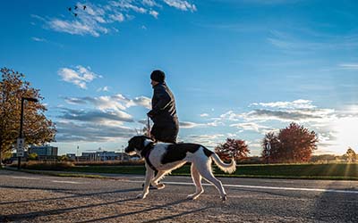 A man jogging with his dog by his side on a clear fall morning