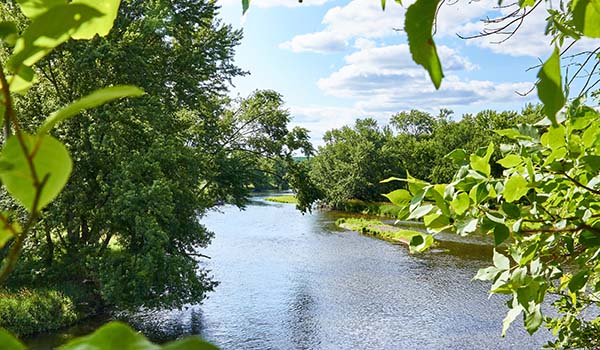 The Wisconsin River framed by lush foliage on a sunny day