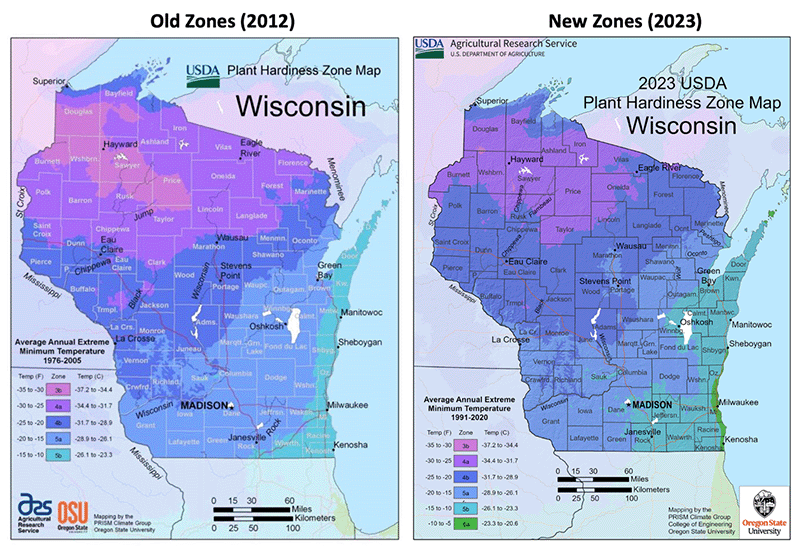 Maps of Wisconsin showing the USDA plant hardiness zones in 2021 compared with 2023