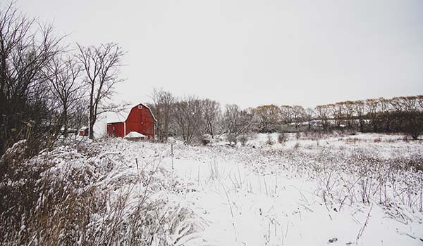 Snow-covered landscape with a farm in the background